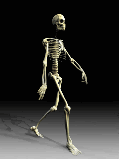 bones